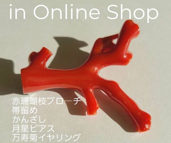 11月のネットショップ新掲載商品