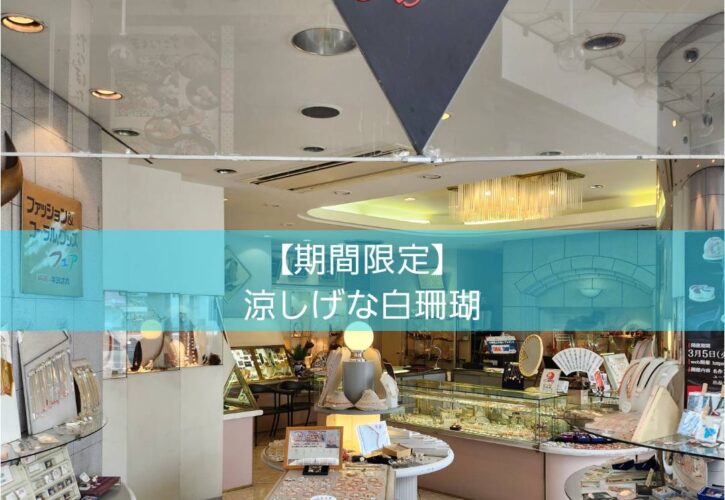 涼しげな白珊瑚のコーナー