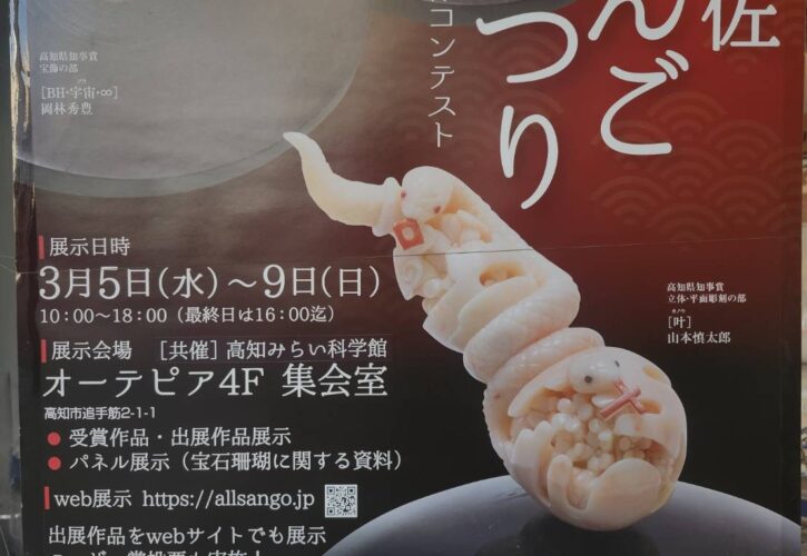 第49回　土佐さんごまつり