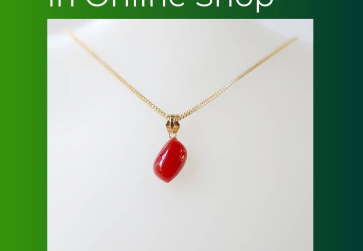 ネットショップ　12月の新掲載商品