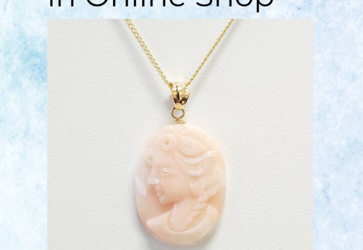 今月のネットショップ新掲載商品