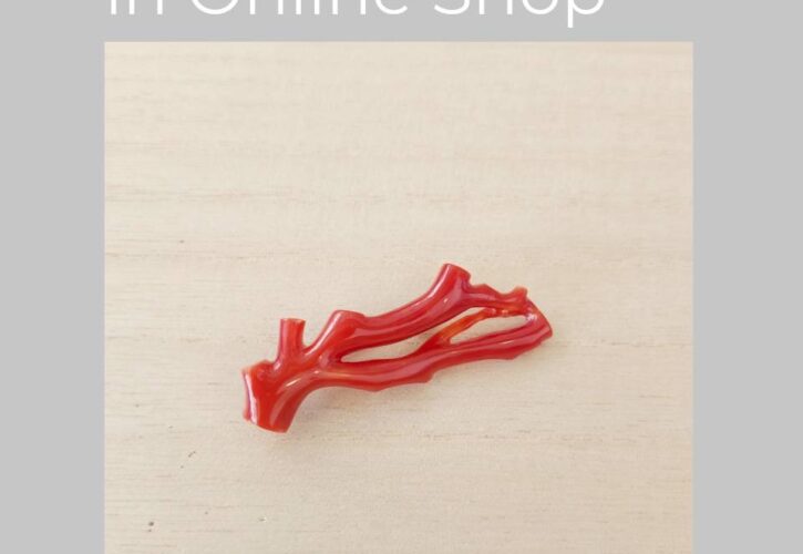 今月のネットショップ新掲載商品　2026.5